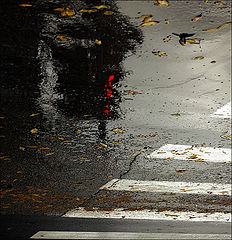 photo "***"