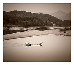 photo "China"