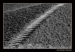 photo "essenzial"