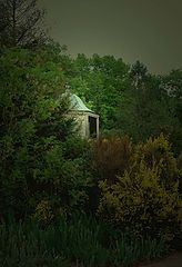 photo "Fernwood"