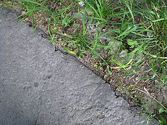 фотоальбом "texture structure"