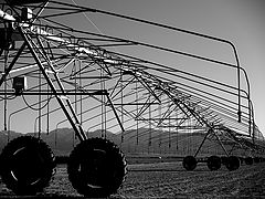 photo "Agriculture"