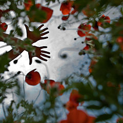 photo "***"