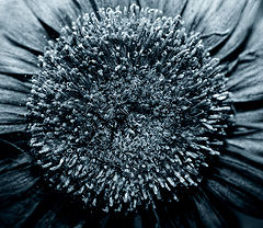 photo "Push and Pull"