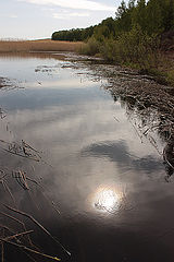 photo "***"
