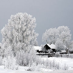 photo "***"