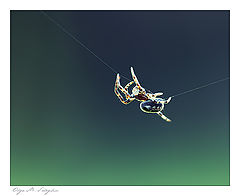 photo "***"