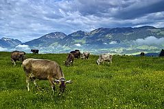 photo "Bavarian Girls"