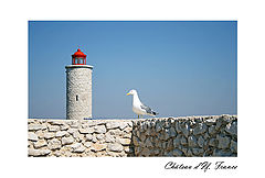 photo "***"