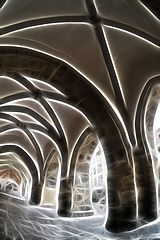 photo "Gallery, filled by Fractals"