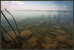photo "***"