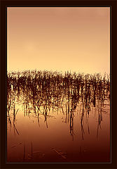 photo "finis coronat opus"