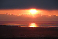 photo "Улетать"