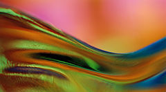 photo "WOMAN'S BODY"