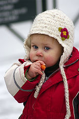 photo "The carrot..."