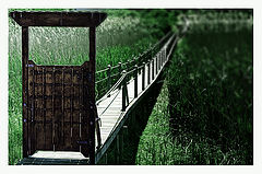 photo "Into The Blur"