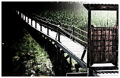 photo "Into The Dark"