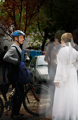 фото "*"