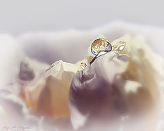 photo "***"