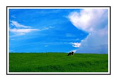 photo "***"