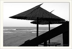 фото "..."