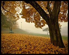 photo "***"