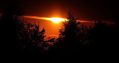 photo "***"