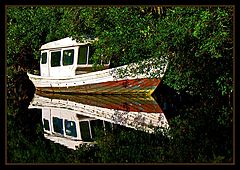 фото "Mirrored"
