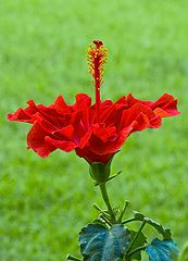 photo "DSC_3189"