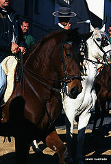 фото "sant antoni"