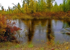 photo "Осень. Дождь."