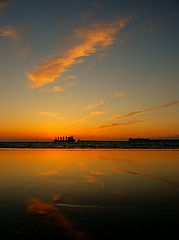 photo "Reflection"