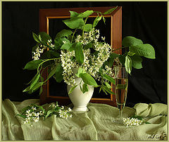 photo "***"