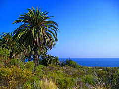 фото "Postcard"