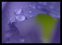 photo "***"