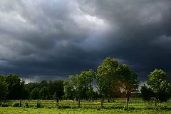 photo "Ragozino"