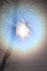 photo "***"