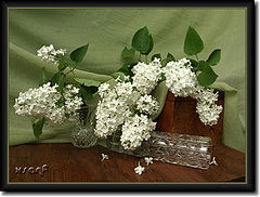 photo "***"