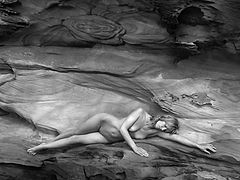 фото "Sweet Dreams M'Lady"
