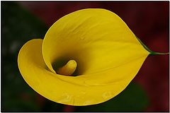 photo "***"