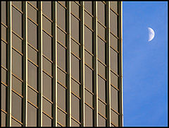 photo "ladder"