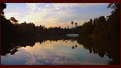 фото "mirror"