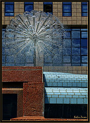 фото "water taraxacum"