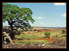 фото "Country side"