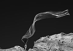 photo "lanza b/w"