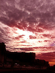 photo "***"
