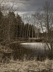 photo "***"
