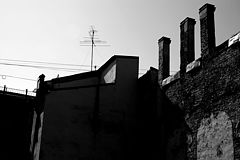 фото "***"