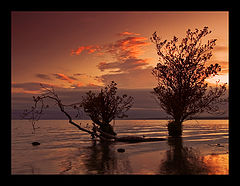 фото "lough Neagh"