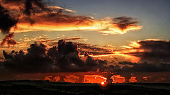 photo "nature's show"